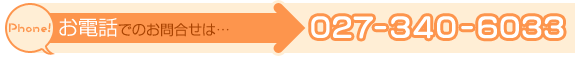 ���d�b�ł̂��⍇���́c027-340-6033